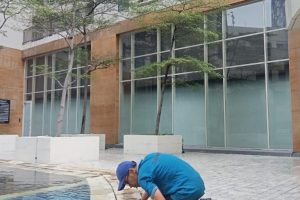 galeri (25) galeri (25)